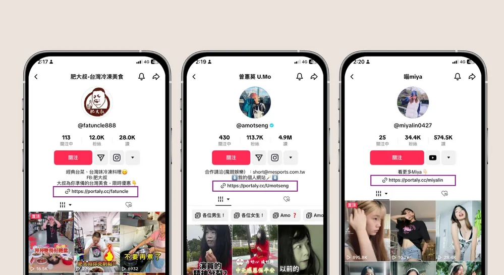 从公域到私域：TikTok营销实战与风险规避技巧